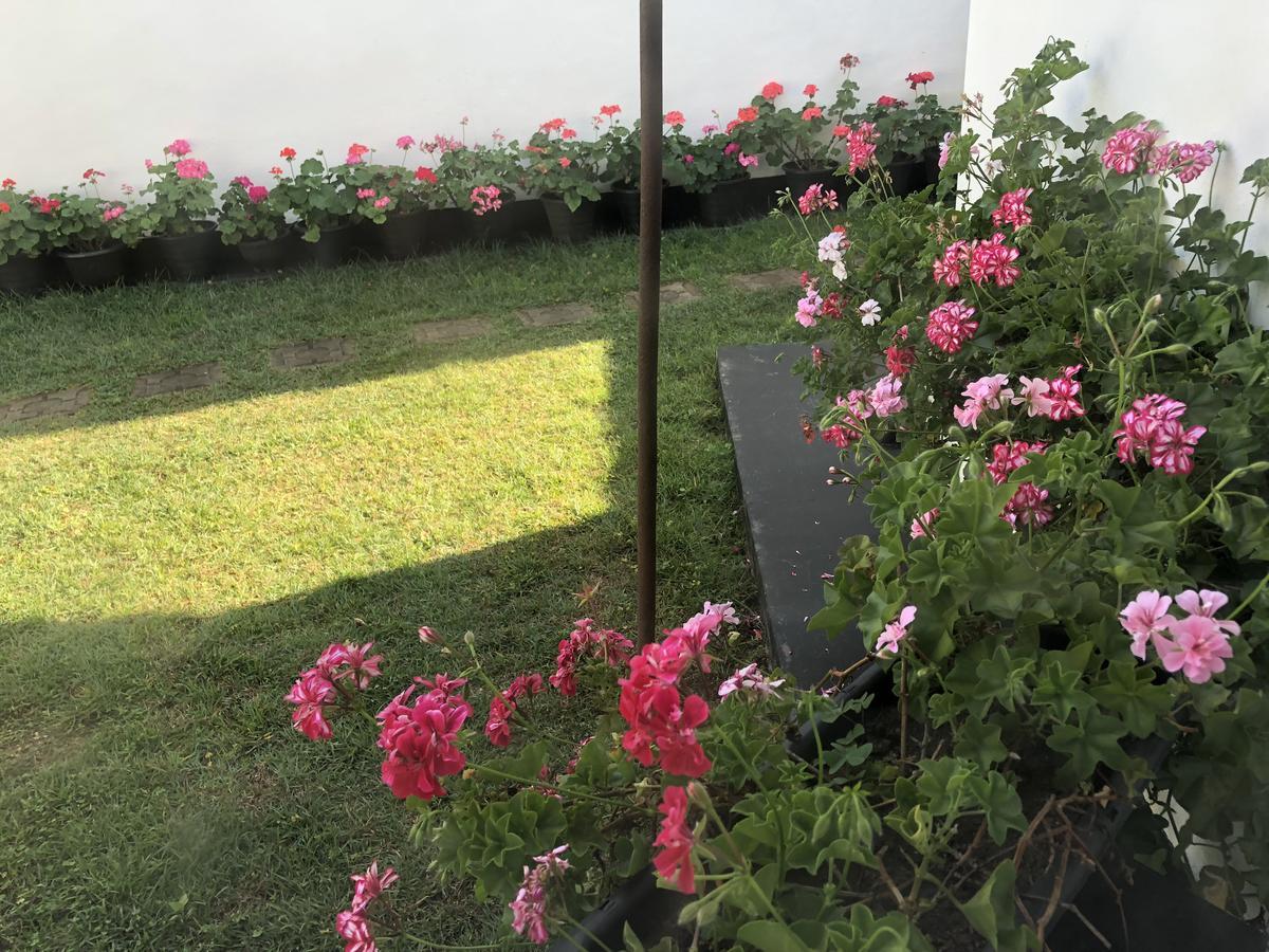 Bungalow 28 Nuwara Eliya Bagian luar foto