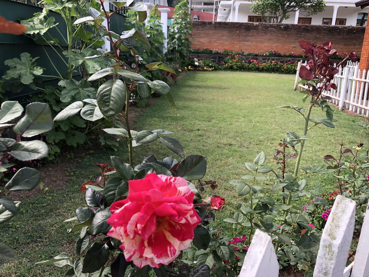 Bungalow 28 Nuwara Eliya Bagian luar foto